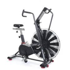 Schwinn Ad8 Air Bike Gym Experts