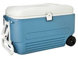 It also features molded side handles that allow for comfortable carrying and lifting. 50 Off Igloo Maxcold 60 Quart Cooler W Wheels 35 Shipped