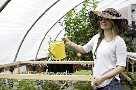 Lady Sadie S Organic Gardening For Hire