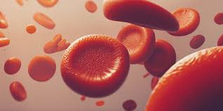 Bagian darah yang cair yang tersusun atas, protein, air, dan bahan organik adalah / march 2021 : 4 Komponen Darah Dan Fungsinya Yang Wajib Anda Ketahui