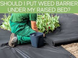 What To Put Under Raised Beds