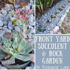 How To Make A Rock And Succulent Garden