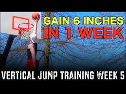 vertical jump training week 5 gain 6