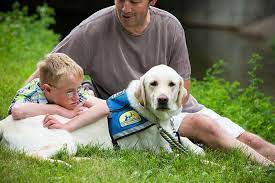 service dogs help children with autism
