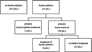 Hydrocephalus Associated With Vestibular Schwannomas