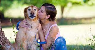 Il cane domestico, in libertà, non si allena: Ci Sono Almeno 8 Motivi Per Non Baciare Il Vostro Cane Foto L Huffpost