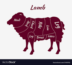 Cuts Of Lamb Or Mutton Diagram