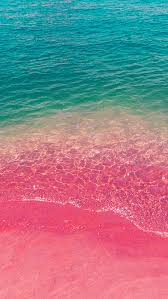 np20 sea water beach summer nature pink