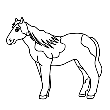 spotted horse clipart pony graphic