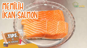 Tapi bolehlah rujuk resepi dengan klik di sini ya. Cara Memilih Ikan Salmon Yang Segar Dan Enak Untuk Segala Masakan Youtube
