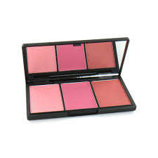 sleek blush by 3 blush palette pink