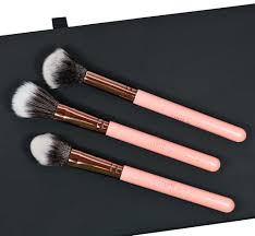 boxycharm luxie makeup brushes june