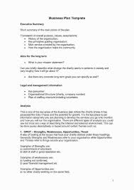 Executive Summary Of A Business Plan Template Inspirational Charmant