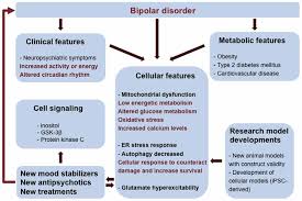 Frontiers Molecular Mechanisms Of Bipolar Disorder