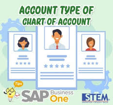chart of account sap business