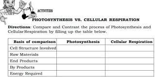 Cellular Respiration Directions