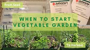When To Start Vegetable Garden From