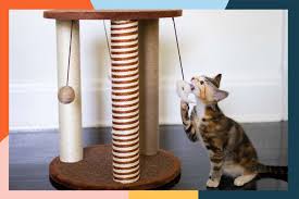 the 7 best cat scratching posts of 2024