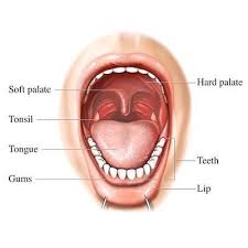 Oral cancer can be painless. Lichen Planus And Oral Cancer Oral Head And Neck Cancer Center Everydayhealth Com