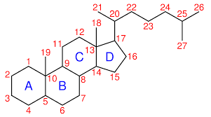 File:Steroid-nomenclature.svg - Wikipedia
