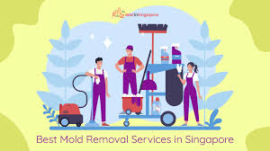 Mold removal costs per square foot will vary depending on where you live, labor costs and many other factors. The 11 Options For The Best Mold Removal Services In Singapore 2021