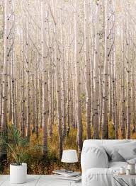 Wall Mural Forest Grey Tones