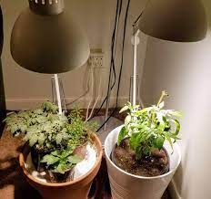 These lights help you save on energy, and you can use that savings on more important expenses. Ikea Tertial Desk Lamp Grow Light Guide Cheap 25 Gardeningindoors