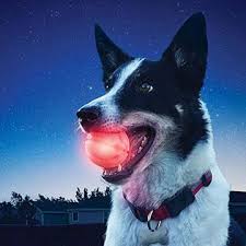 Chinaled Dog Ball Collar Light Bounce Activated Light Up Dog Ball Replaceable Batteries On Global Sources