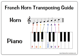 Free Download French Horn Transposing Guide The Box Zither