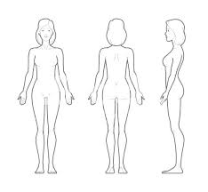 Female Human Body Outline Drawing At Paintingvalley Com