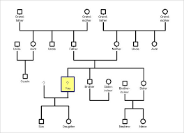 36 Genogram Templates Pdf Word Apple Pages Google Docs