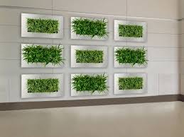 Living Wall Planter Suite Plants