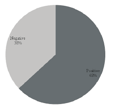 Pie Chart Showing The Percentage Of Positive And Negative