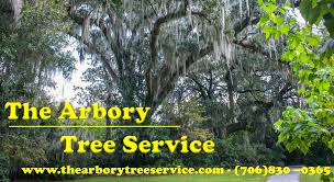 Capital area tree service and it's arborists have been serving the central maine area and kennebec county with professional tree service for 25 years. Tree Removal Service Stump Removal Augusta Ga Surrounding Areas The Arbory