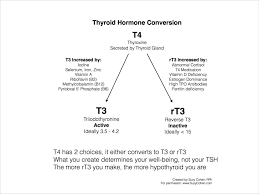 Measure Reverse T3 And Get Thyroid Healthy Suzy Cohen