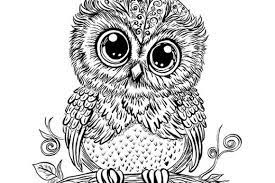 baby owl coloring page graphic by