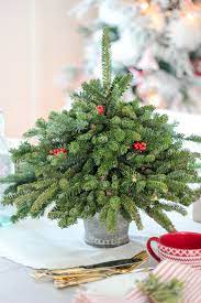 tabletop christmas tree using free