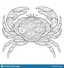 For pencil sketches/real time videos please go to: Seashell Coloring Pages Blue Crab For Kids Hermit Disney To Print Approachingtheelephant