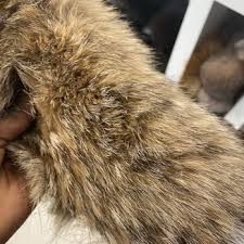 Top 10 Best Fur Coat Repair In Houston