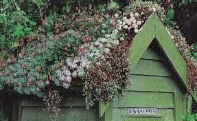 85 Garden Sheds With Living Roofs Ideas
