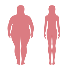 Popular choices include framed prints, canvas prints, posters and jigsaw puzzles. Vector Illustration Of Fat And Slim Woman Silhouettes Weight Loss Concept Before And After Obese And Normal Female Body 616812 Vector Art At Vecteezy