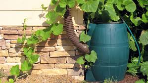 Rain Barrel To Your Landscaping