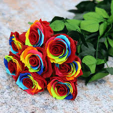 the rainbow rose of verdissimo