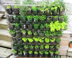 Grow A Vertical Vegetable Garden