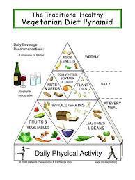 ovo lacto vegetarian t pyramid