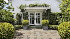 Boxwood Winter Care How To Avoid