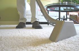 the professional carpet cleaner in troy