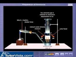 preparation of ammonia you