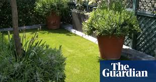 Laying your own artificial grass can be a great money saver! Gardens Artificial Grass Gardens The Guardian