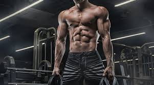 how to get and maintain six pack abs